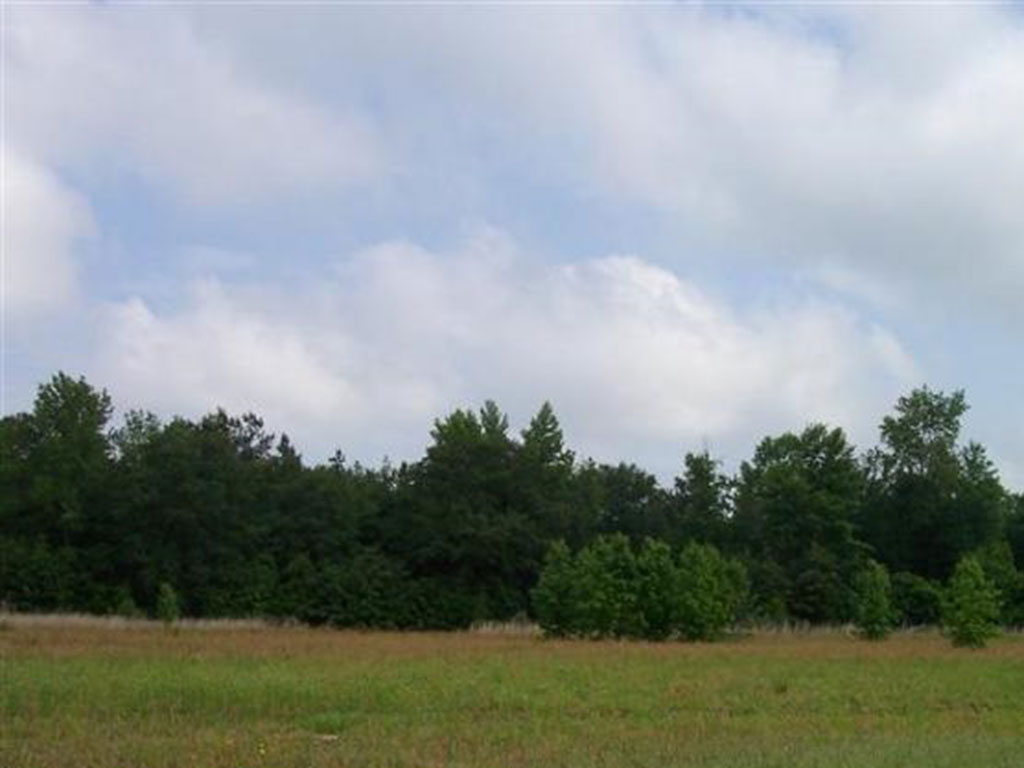 Butler Faircloth Real Estate, Inc.